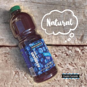JUGO DE ARÁNDANOS CON STEVIA JUGO PET 1,5 LTS
