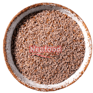 ZARAGATONA PSYLLIUM KG.