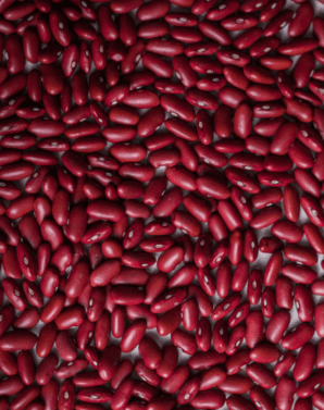 POROTO COLORADO PREMIUM 1 KG - NEUFOOD