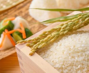 ARROZ KOSHIHIKARI KG