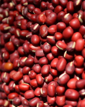 POROTO ADUKI 1 KG - NEUFOOD