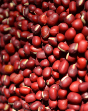 POROTO ADUKI 1 KG - NEUFOOD