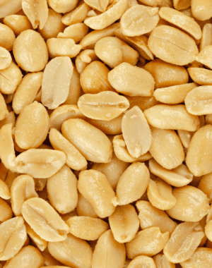 MANÍ REPELADO TOSTADO SALADO 1 KG - NEUFOOD