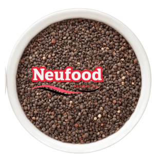 QUINOA NEGRA KG