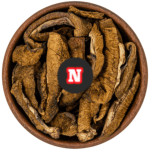 HONGOS DE PINO BOLLETUS 250 GRS