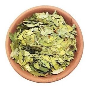 TE SEN EN HOJAS 100 GRS