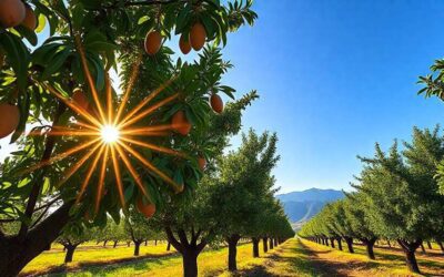 Almendras Neuquén: Qualidad y Sabor en Cada Bocado