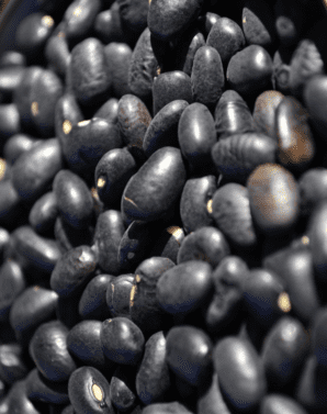 POROTO NEGRO 1 KG - NEUFOOD