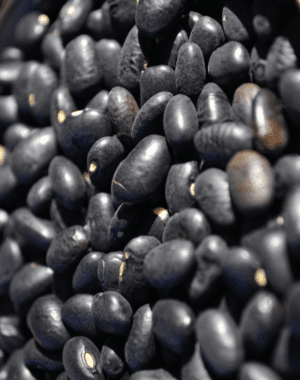 POROTO NEGRO 1 KG - NEUFOOD