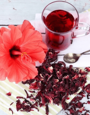 FLOR DE JAMAICA - HIBISCUS 500 GRS - NEUFOOD