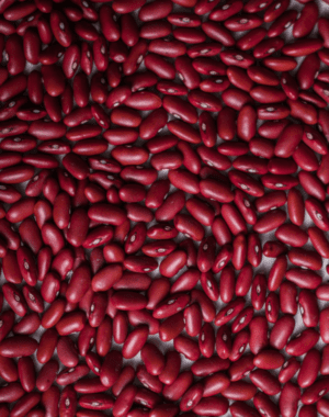 POROTO COLORADO PREMIUM 1 KG - NEUFOOD