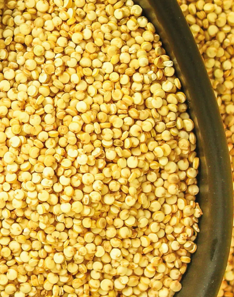 MIJO GRANO ENTERO 1 KG - NEUFOOD