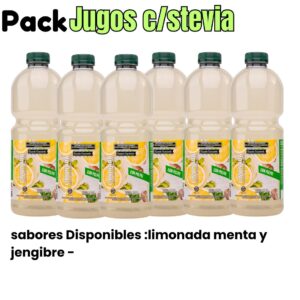 18 BOTELLAS LIMONADA MENTA Y JENGIBRE  DE 1.500CC C/U