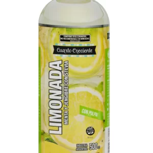 JUGO DE LIMONADA MENTA Y JENGIBRE  500 ML.