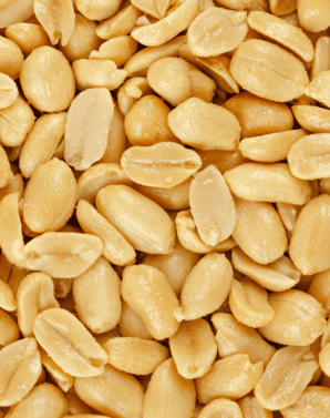 MANÍ REPELADO TOSTADO SALADO 1 KG - NEUFOOD