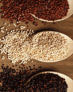 MIX DE 3 QUINOAS: BLANCA, NEGRA Y ROJA 1 KG - NEUFOOD