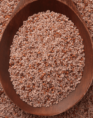 ZARAGATONA PSYLLIUM 250 GRS - NEUFOOD