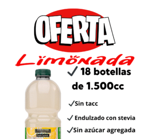 3 PACK X 6 UNIDADES JUGOS LIMONADA MENTA Y JENGIBRE