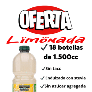 3 PACK X 6 UNIDADES JUGOS LIMONADA MENTA Y JENGIBRE