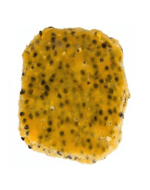 PULPA DE MARACUYA CONGELADOS 500 GRS